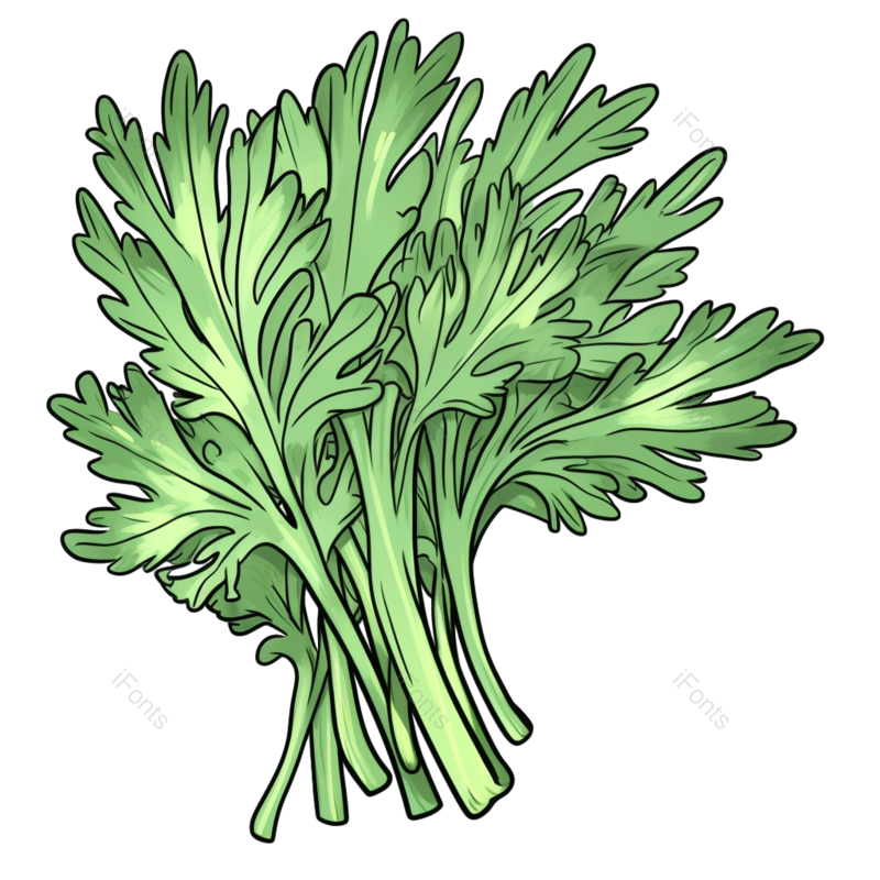 蔬菜图片,绿色元素,植物PNG,绿色食品免抠素材
